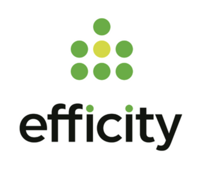 Logo de Efficity